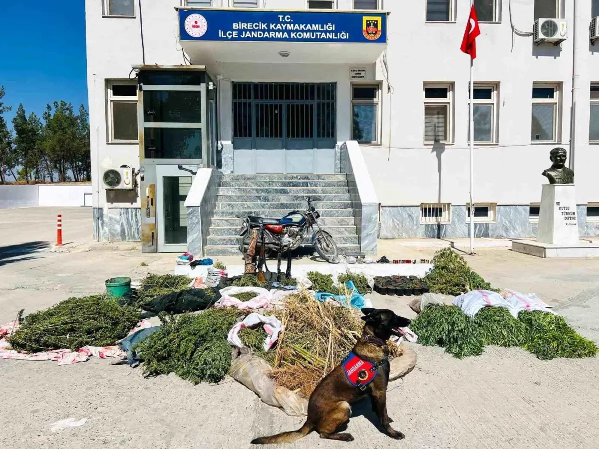 birecikte uyusturucu operasyonu 8f2A6Tnc