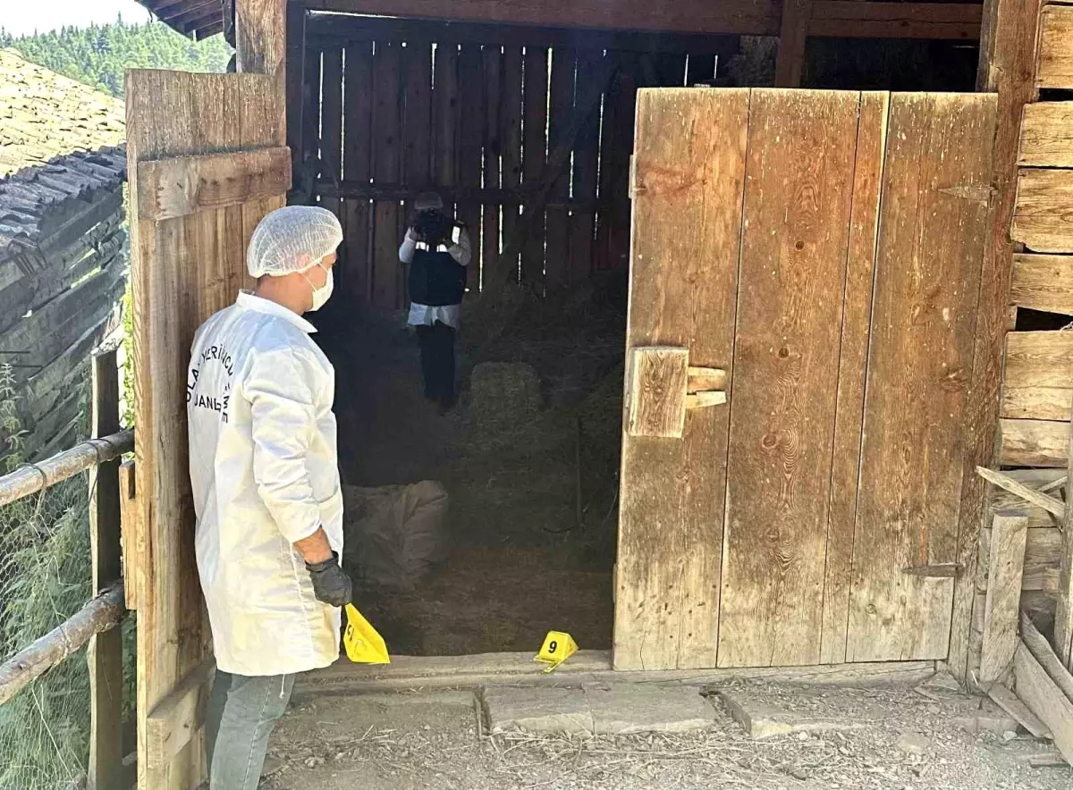 kastamonuda kasten oldurme davasi devam ediyor 8d3LX8PY