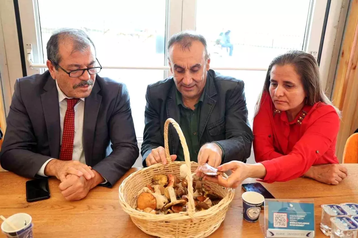 duzce universitesinde mantarlarin gizemli dunyasi etkinligi gerceklestirildi AynKT8nL.jpg