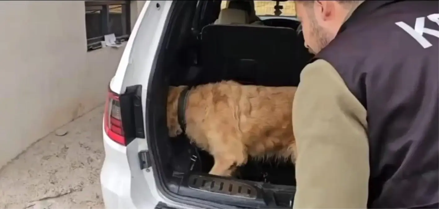 hakkaride 60 kilogram metamfetamin ele gecirildi 8tJeLsJd.jpg