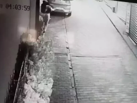 Bursa’da İlginç Hırsızlık Olayı: Süs Ağacı Gasp Edildi