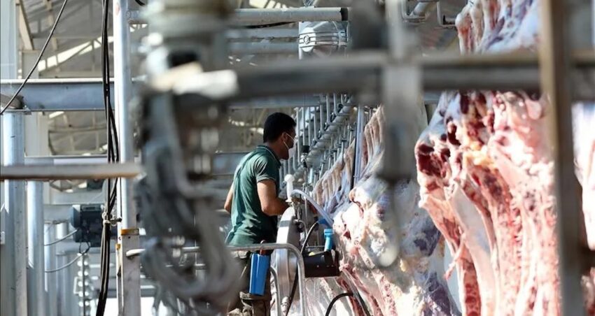 Kesimhanelerde yeni dönem: Kamera sistemi zorunlu oluyor